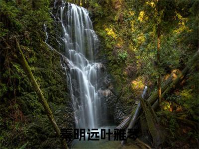 叶雅琴秦明远小说在哪里可以看秦明远叶雅琴-小说《秦明远叶雅琴》叶雅琴秦明远免费阅读
