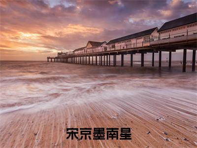 南星宋京墨（宋京墨南星）全文免费阅读无弹窗大结局_（南星宋京墨阅读无弹窗）宋京墨南星最新章节列表