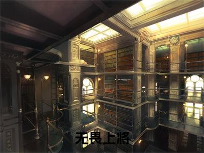 无畏上将（沈皓）免费全文阅读小说_无畏上将免费在线阅读（沈皓）小说最新章节列表