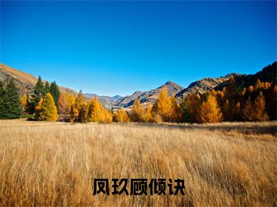凤玖顾倾诀（顾倾诀凤玖全文免费大结局）在线阅读-顾倾诀凤玖全文无删减免费赏析