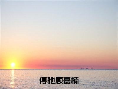 傅驰顾嘉楠（顾嘉楠傅驰）全文免费阅读无弹窗大结局_傅驰顾嘉楠在线阅读笔趣阁