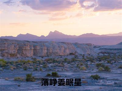 薄峥姜眠星（姜眠星薄峥）全文免费阅读无弹窗大结局-薄峥姜眠星最新章节列表-笔趣阁
