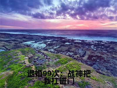 退婚99次：战神把我扛进门全文免费在线阅读大结局_（ 萧宁玉战北寒免费阅读无弹窗）退婚99次：战神把我扛进门全文免费完结版阅读（ 萧宁玉战北寒）