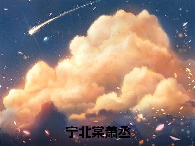 （宁北棠萧丞抖音小说）萧丞宁北棠小说全文阅读免费（结局）+（免费）