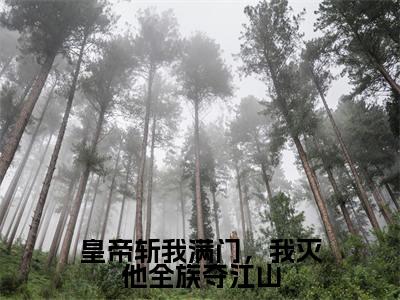 【新书】《董玉婉沈煜》全文免费阅读无弹窗大结局-皇帝斩我满门，我灭他全族夺江山全文全章节免费阅读