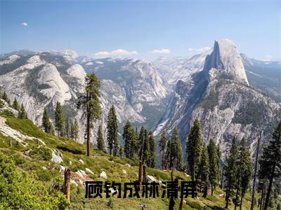林清屏顾钧成（顾钧成林清屏）全文免费阅读无弹窗大结局_林清屏顾钧成免费阅读无弹窗最新章节列表_笔趣阁（林清屏顾钧成）