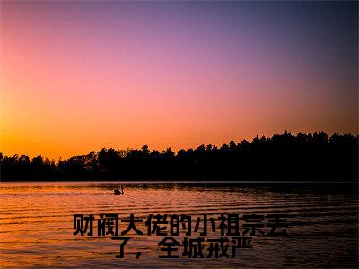 财阀大佬的小祖宗丢了，全城戒严全文免费阅读无弹窗大结局_财阀大佬的小祖宗丢了，全城戒严全文阅读_笔趣阁（陈星稚薄闻霄）