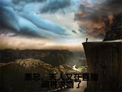叶澜萧云霆小说萧总，夫人又在直播间被求婚了在哪里可以看-主角是叶澜萧云霆的小说萧总，夫人又在直播间被求婚了