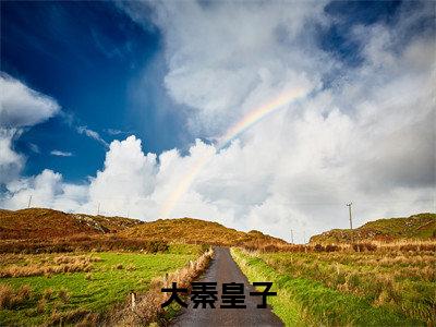 大秦皇子贺青精彩章节-大秦皇子贺青完整版阅读