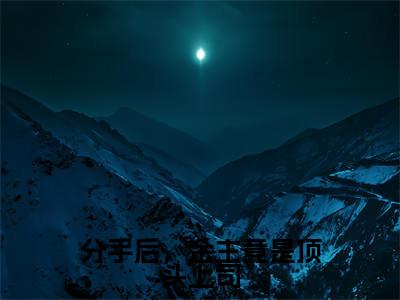 分手后，金主竟是顶头上司（陆晏舟安星辰）热推现言小说-分手后，金主竟是顶头上司小说在哪里可以看全文