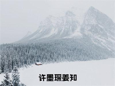 许墨琛姜知全文小说姜知许墨琛免费在线分享-新书热荐免费小说姜知许墨琛