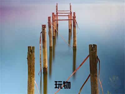 程暖贺丞最新章节（玩物）全文免费阅读无弹窗大结局_程暖贺丞免费阅读（玩物）