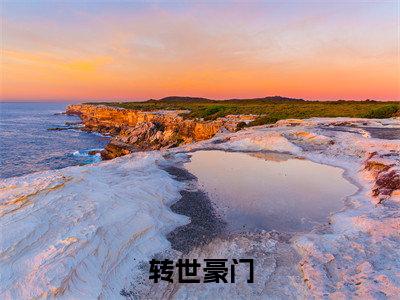 转世豪门小说（林贺）免费阅读全文无弹窗大结局_林贺免费阅读无弹窗小说_小说笔趣阁