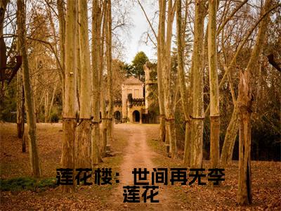 人气小说莲花楼：世间再无李莲花在线阅读-正版小说《莲花楼：世间再无李莲花》李莲花全文阅读