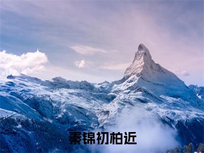 秦锦初柏近全文免费阅读无弹窗大结局，秦锦初柏近小说最新章节