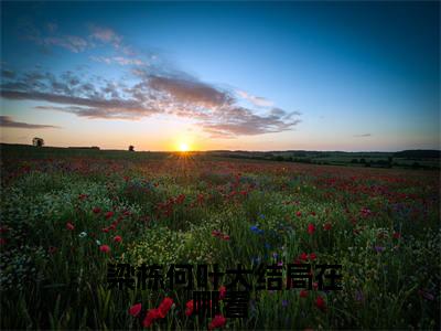  梁栋何叶高赞小说（官场那些事儿）完结阅读_官场那些事儿免费看全文