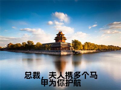 总裁，夫人携多个马甲为你护航（白苓傅琛）小说全文免费阅读无弹窗-总裁，夫人携多个马甲为你护航小说全文免费阅读最新章节列表笔趣阁（白苓傅琛）