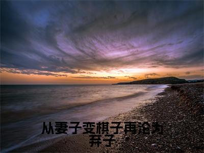 沈卿云晏浔（从妻子变棋子再沦为弃子）火热新书无弹窗大结局_（沈卿云晏浔）从妻子变棋子再沦为弃子最新章节列表_笔趣阁