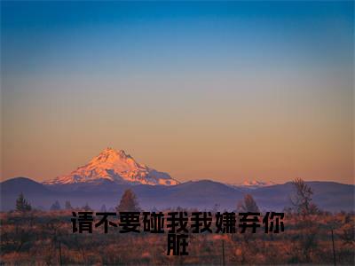 请不要碰我我嫌弃你脏小说（林雨泽李墨雪）全文免费阅读无弹窗_请不要碰我我嫌弃你脏小说全文免费阅读）林雨泽李墨雪最新章节列表笔趣阁