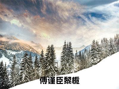 黎栀傅谨臣（傅谨臣黎栀）全文无弹窗阅读-精彩小说傅谨臣黎栀（黎栀傅谨臣）