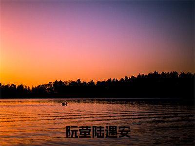 阮萤陆遇安小说免费阅读（阮萤陆遇安）全文免费阅读大结局-（阮萤陆遇安小说免费阅读）好书推荐