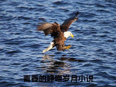  孙茜几米（青春的峥嵘岁月）全文免费阅读无弹窗大结局_ 孙茜几米在线阅读（青春的峥嵘岁月）