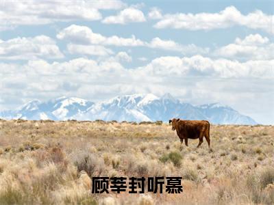 小说（顾莘封听慕）_封听慕顾莘全文阅读_小说顾莘封听慕免费阅读（封听慕顾莘）笔趣阁