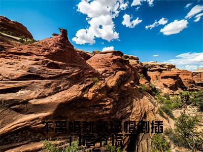 詹南风盛知意（不离婚就戴绿帽倒插门詹爷慌了）免费小说-不离婚就戴绿帽倒插门詹爷慌了全文在线阅读