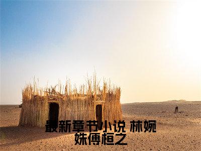 主人公叫（ 林婉姝傅桓之）的小说（傅总天天想跟我离婚）全文免费阅读最新章节列表_笔趣阁