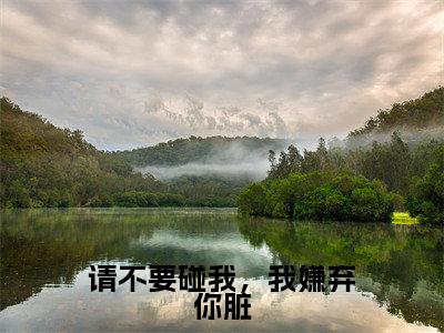 林雨泽李墨雪小说在线阅读请不要碰我，我嫌弃你脏无广告小说免费在线阅读