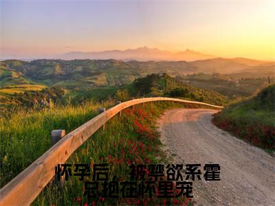 怀孕后，被禁欲系霍总抱在怀里宠抖音热推小说全集无删减霍见深宋西棠最新章节列表免费阅读_（怀孕后，被禁欲系霍总抱在怀里宠）最新章节列表笔趣阁