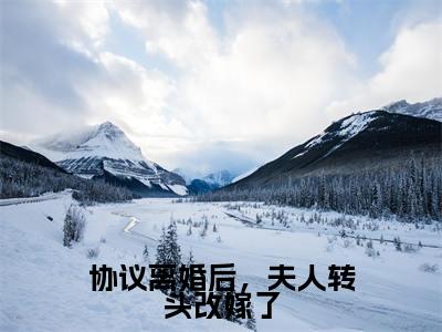协议离婚后，夫人转头改嫁了抖音新上免费热文沈曼薄司言完结免费阅读无弹窗