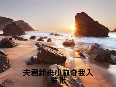 江琯清叶寒峥（夫君新丧小叔夺我入罗帐）小说免费阅读_江琯清叶寒峥精选小说全文阅读（夫君新丧小叔夺我入罗帐）