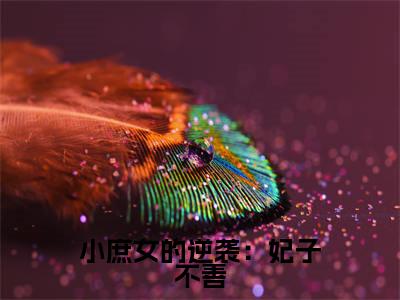 桑梓小说（小庶女的逆袭：妃子不善）完整版小说阅读_桑梓全本列表免费笔趣阁