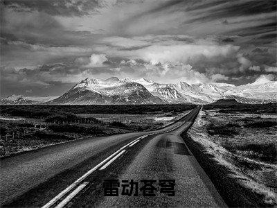 雷辰小说（雷动苍穹）全文免费阅读无弹窗大结局_雷动苍穹小说最新章节列表_笔趣阁