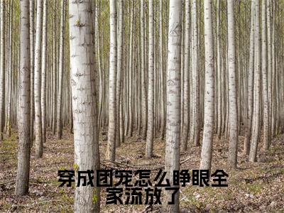 穿成团宠怎么睁眼全家流放了（幺宝苏秀）全文免费阅读无弹窗_（幺宝苏秀）穿成团宠怎么睁眼全家流放了最新章节列表