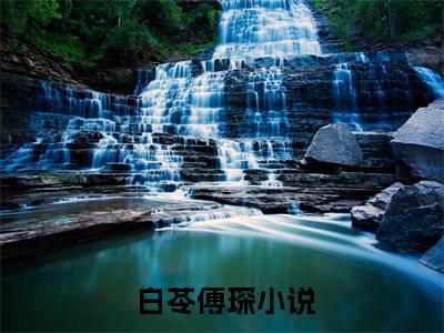 神医鬼面人 白苓傅琛抖音新书热荐-小说神医鬼面人全文完整版免费阅读