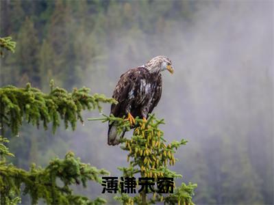 （薄谦宋窈）全文免费阅读薄谦宋窈言情小说讲的是什么