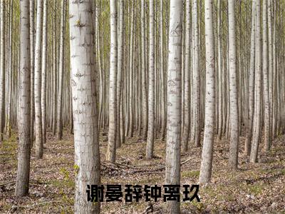 谢晏辞钟离玖（钟离玖谢晏辞）小说全文免费阅读无弹窗大结局_（谢晏辞钟离玖全文免费阅读）钟离玖谢晏辞最新章节列表