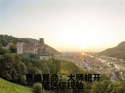 言倾全文免费阅读-直播算命：大师姐开局送你投胎最新章节小说免费阅读