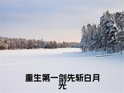 重生第一剑先斩白月光正版小说最新章节在线阅读-小说江浙重生第一剑先斩白月光已完结全集大结局