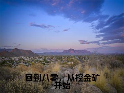 回到八零，从挖金矿开始全文免费阅读_（赵文多小说）回到八零，从挖金矿开始言情小说在线阅读笔趣阁（赵文多）