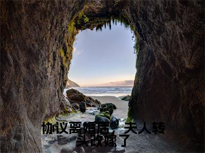 沈曼薄司言协议离婚后，夫人转头改嫁了完整全文在线阅读沈曼薄司言全文大结局阅读无弹窗