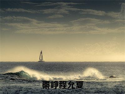 程允夏秦峥（秦峥程允夏）是什么小说_主角是（程允夏秦峥）的小说（秦峥程允夏）最新章节无弹窗阅读