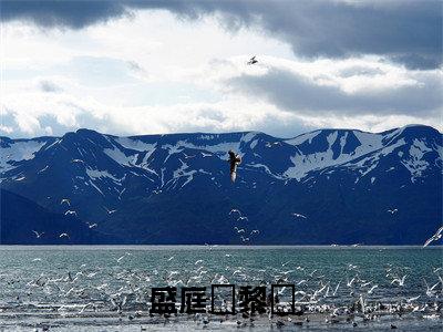 盛庭霑黎婳热门榜单小说黎婳盛庭霑完本小说无弹窗免费阅读