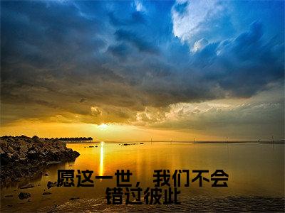 小说愿这一世，我们不会错过彼此全文免费阅读苏叶绾傅廷烨小说全文在线赏析_笔趣阁