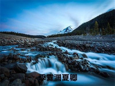 （季霖渊夏卿）全文免费阅读无弹窗大结局_（季霖渊夏卿）章节列表_笔趣阁