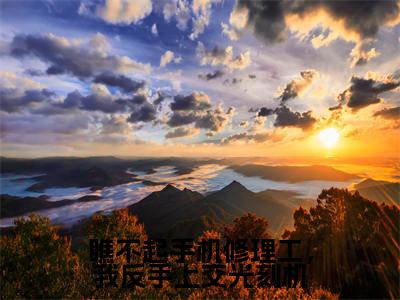 叶辰（瞧不起手机修理工，我反手上交光刻机）全文免费阅读无弹窗大结局_叶辰最新章节列表_笔趣阁