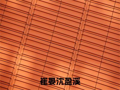 沈盈溪崔晏崔晏沈盈溪全文阅读沈盈溪崔晏免费阅读无弹窗