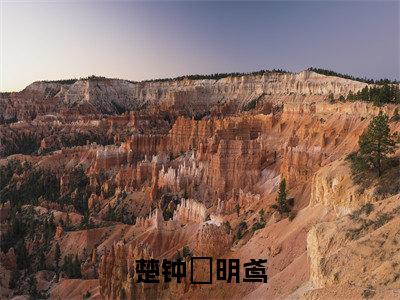 楚钟璟明鸢小说明鸢楚钟璟-楚钟璟明鸢小说在哪里可以看